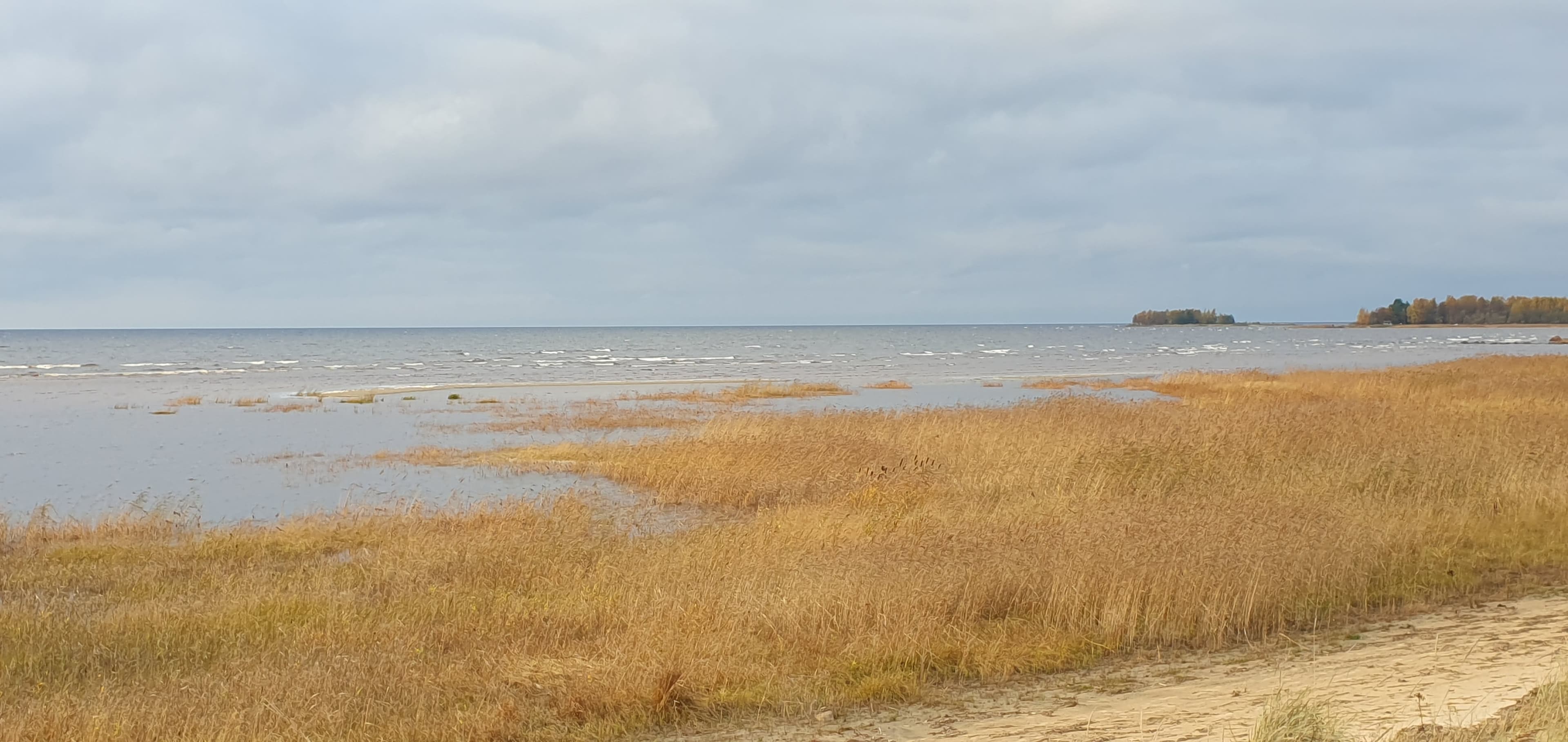 Olkijoki
